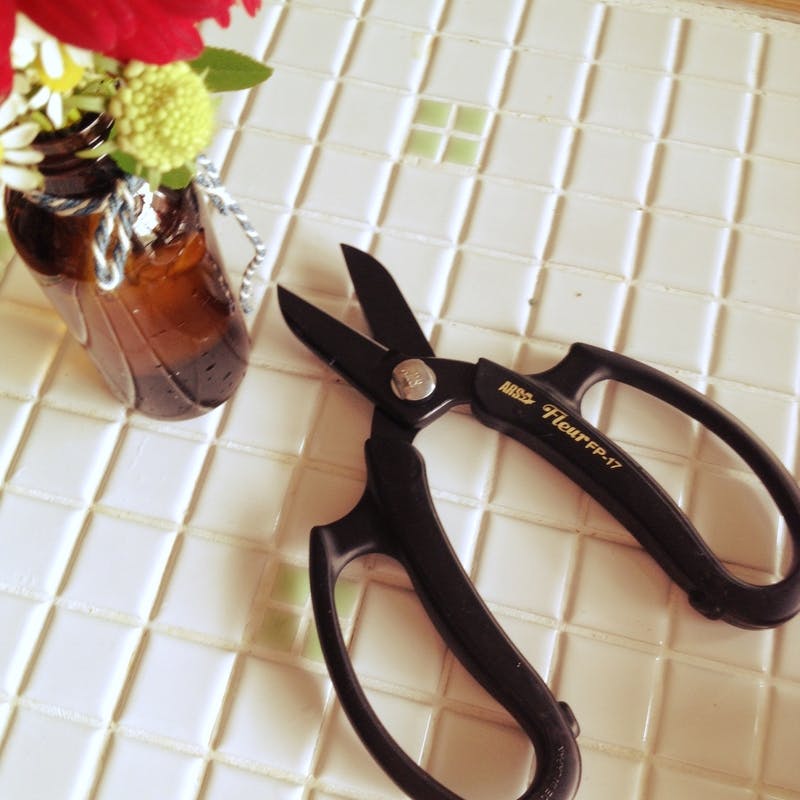 剪定ハサミ.jpg?1752822769&auto