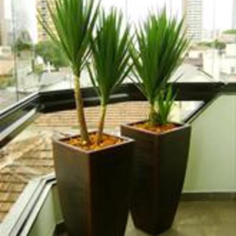 光の園(2023年版)　ユッカ　品番：612A150　高さ：130cm - アートクリエイション 送料無料 [光触媒/人工観葉植物] 光触媒 人工観葉植物 光の楽園 ユッカ 人工観葉植物 フェイクグリーン