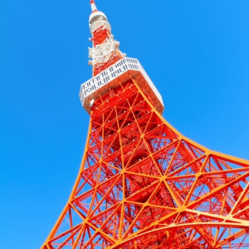 東京都内で観葉植物の店舗とおすすめ観葉植物3選 ひとはなノート 東京都内で観葉植物の店舗とおすすめ観葉植物3選 ひとはなノート