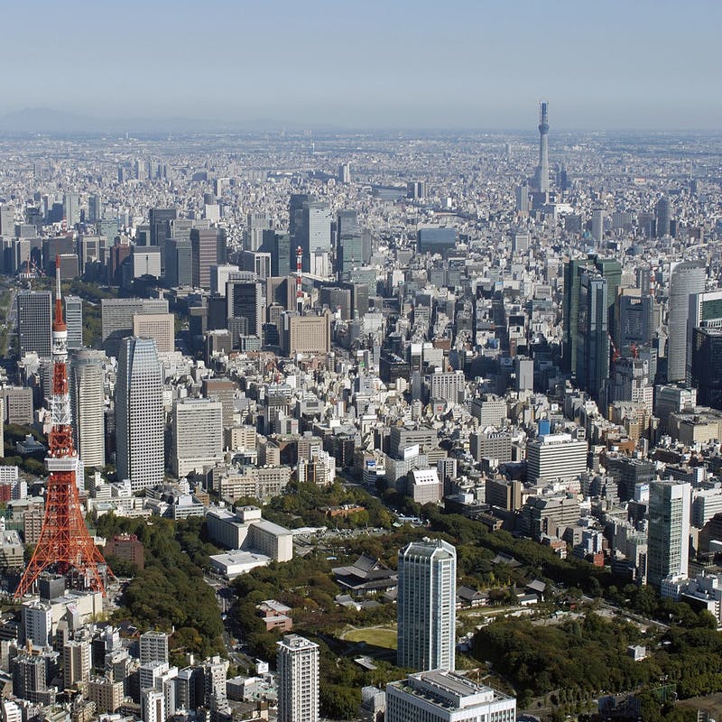 激安あり 東京 都内に胡蝶蘭を通販で贈る注意点 ひとはなノート