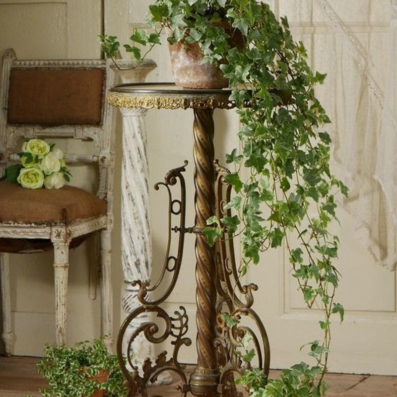 リビングをもっとおしゃれに 飾り台を使った観葉植物レイアウト ひとはなノート