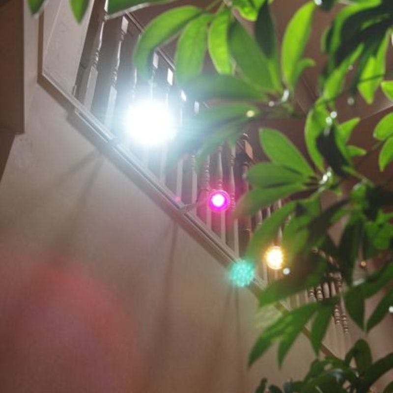 観葉植物をled照明で育てる方法とは ひとはなノート