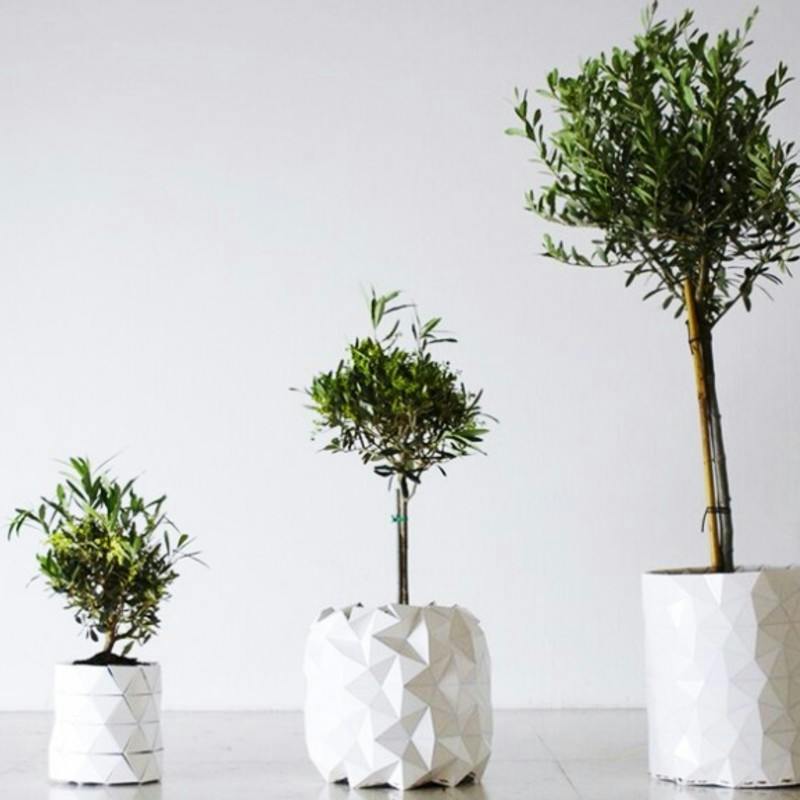 【剪定してます画像準備中】パキラ 観葉植物 デザイン鉢付き　塊根植物 a66a0fe986335af12509ee501b79c1