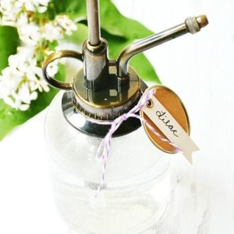 霧吹きで胡蝶蘭を長持ちさせるテクニック ひとはなノート 霧吹きで胡蝶蘭を長持ちさせるテクニック ひとはなノート
