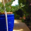屋外でも使える鉢カバー！屋外用素材とおすすめ観葉植物コラボ