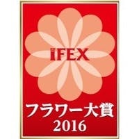 IFEXフラワー大賞 2016の魅力に迫る