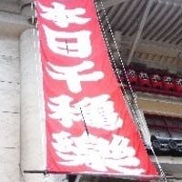 【相場・マナー】千秋楽祝いは胡蝶蘭がおすすめ