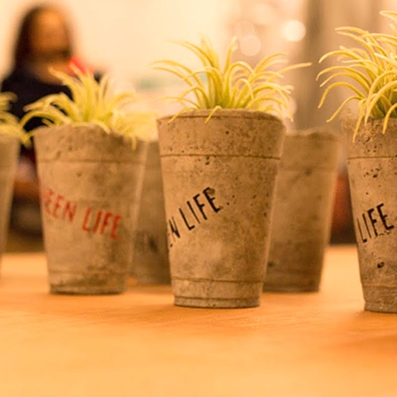 アレンジや手作りが旬 観葉植物の飾り方 ひとはなノート アレンジや手作りが旬 観葉植物の飾り方 ひとはなノート