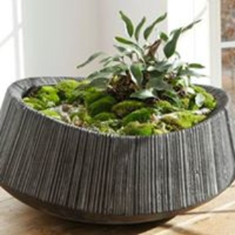 重厚感と高級感が魅力！鉢カバー Polyresin Stone（ポリレジン ストーン）を買うなら通販で | ひとはなノート 樹脂クラフト用の多目的シリコン植木鉢や宝石保有者向けのアクセサリー設計されたアクセサリー