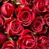 バラの本数や色には意味がある！ プロポーズ・お誕生日・還暦のお祝いなど特別な日に贈る赤いバラの花束特集