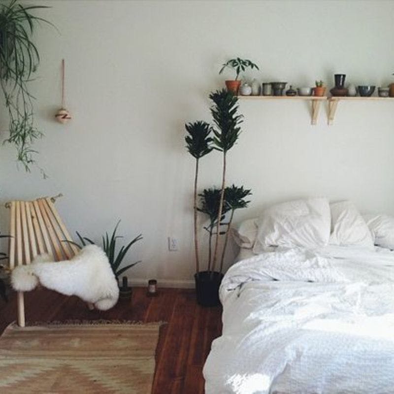 寝室に観葉植物を置きませんか その効果とおすすめ観葉植物セットをご紹介 ひとはなノート