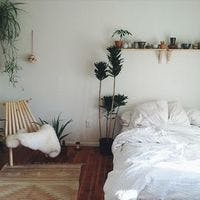 寝室に観葉植物を置きませんか？その効果とおすすめ観葉植物セットをご紹介