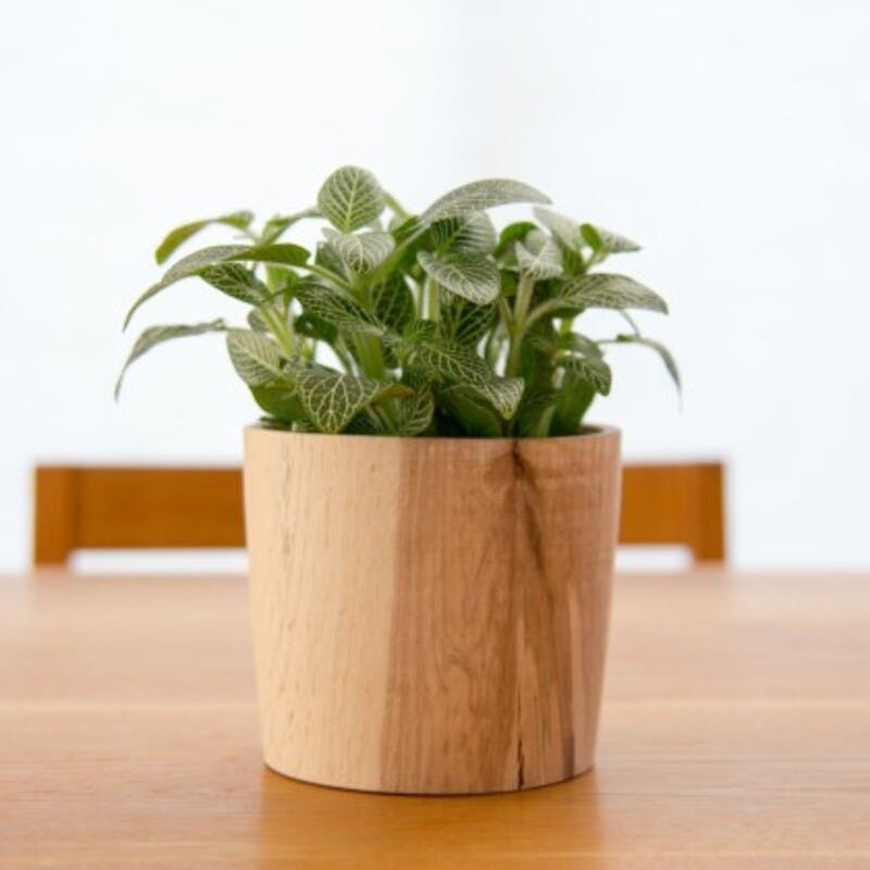 sIMG_6296-630x420.jpg?