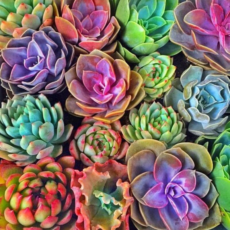 7be27e23c2fe697c0b18f314a6e803