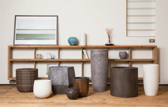 小さい観葉植物の魅力はこんなに大きい ひとはなノート