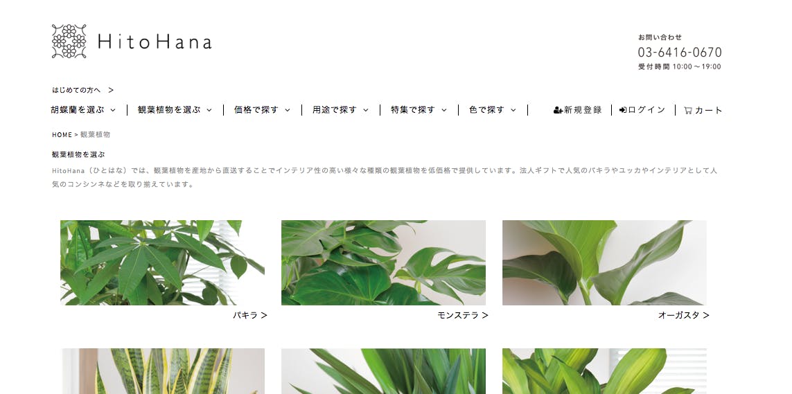 種類豊富なサンスベリアの世界へようこそ ひとはなノート 種類豊富なサンスベリアの世界へようこそ ひとはなノート