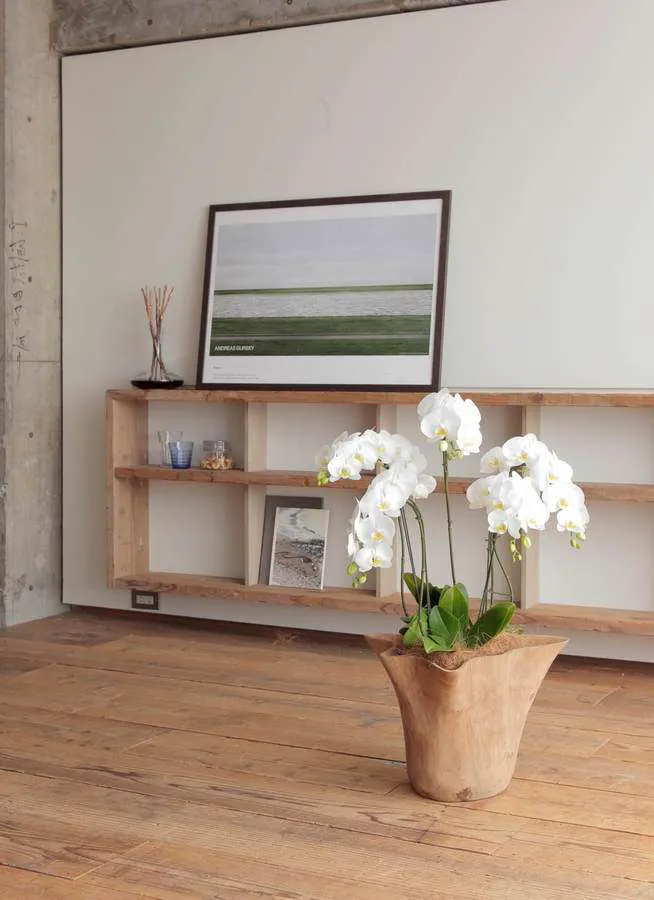 傘寿祝い 家族で心を込めて豪華な胡蝶蘭を おすすめ12選のご紹介 ひとはなノート