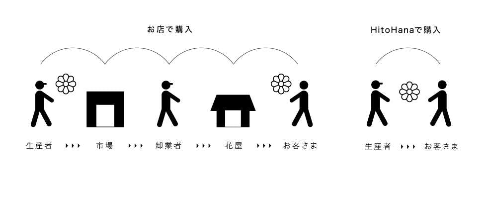 選挙の陣中見舞いに胡蝶蘭を贈るときのマナーと相場 ひとはなノート 選挙の陣中見舞いに胡蝶蘭を贈るときのマナーと相場 ひとはなノート