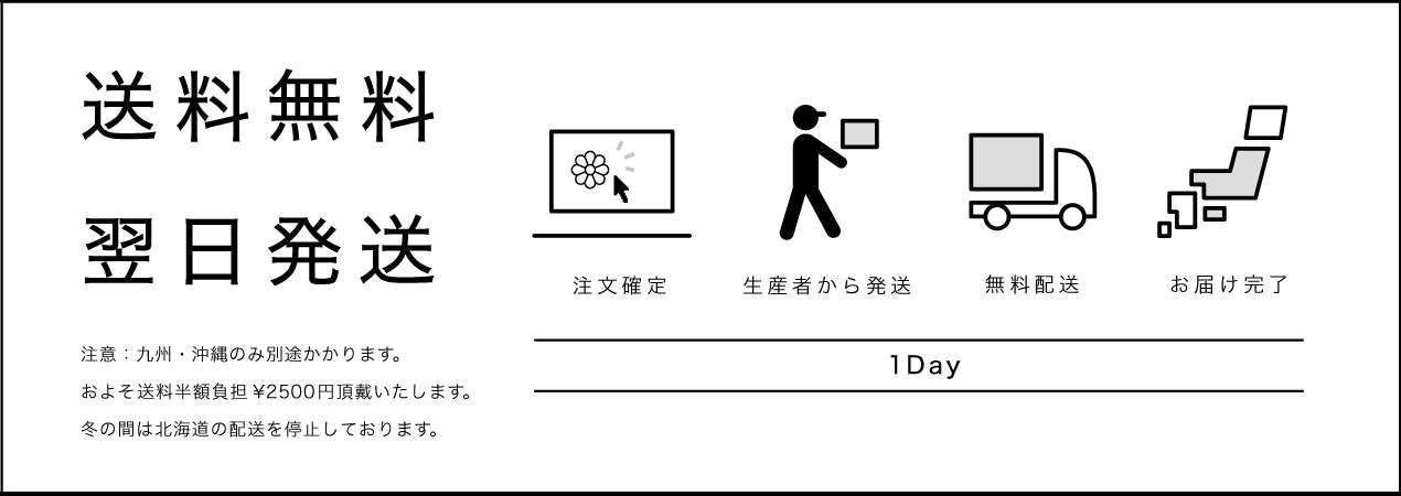 2万5千円 格調高い観葉植物ギフトのおすすめ3選 相場とマナーも ひとはなノート