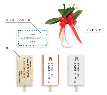 退職祝いに贈る観葉植物とマナーや相場 ひとはなノート