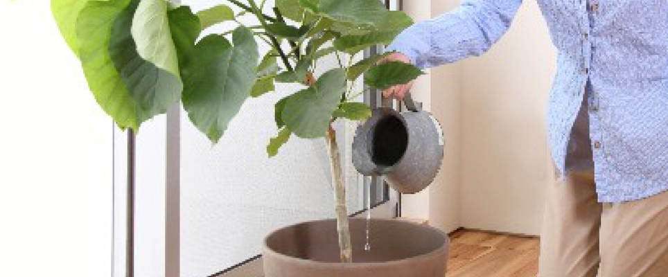 素材別 シーン別素敵な鉢カバーのご紹介 ひとはなノート 素材別 シーン別素敵な鉢カバーのご紹介 ひとはなノート