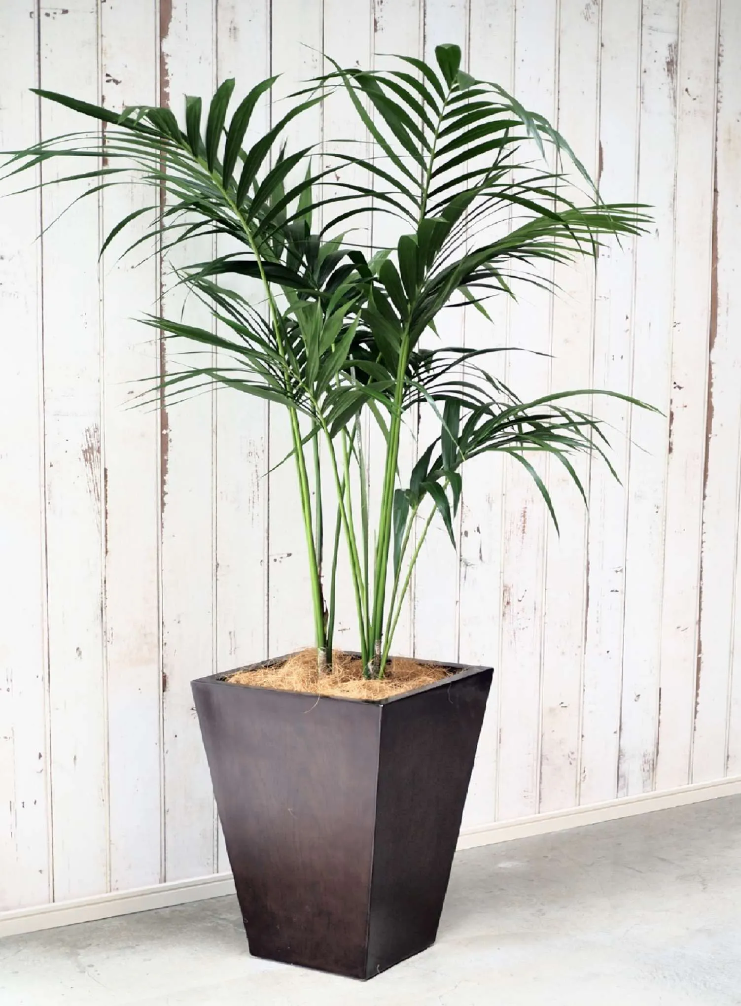 Moku モク は木目が美しくインテリアにぬくもりをプラスできる鉢カバー ひとはなノート