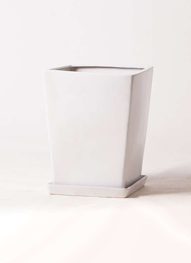 Lo エルオー は白い陶器の艶が上品な鉢カバー ギフトにも最適 ひとはなノート Lo エルオー は白い陶器の艶が上品な鉢カバー ギフトにも最適 ひとはなノート