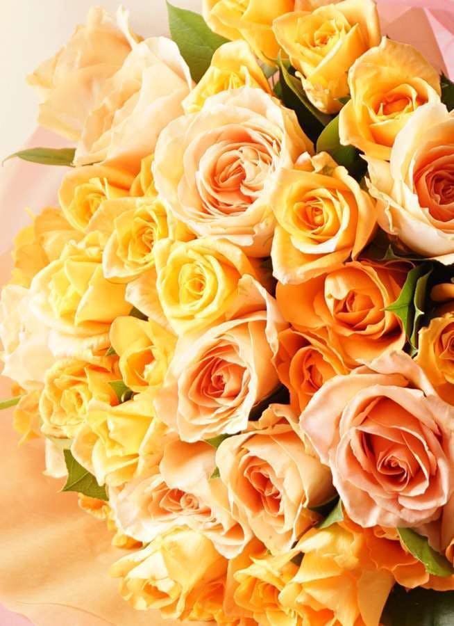 オレンジ色のバラは花言葉が豊富 大切な方に贈りたいおすすめ3選 ひとはなノート