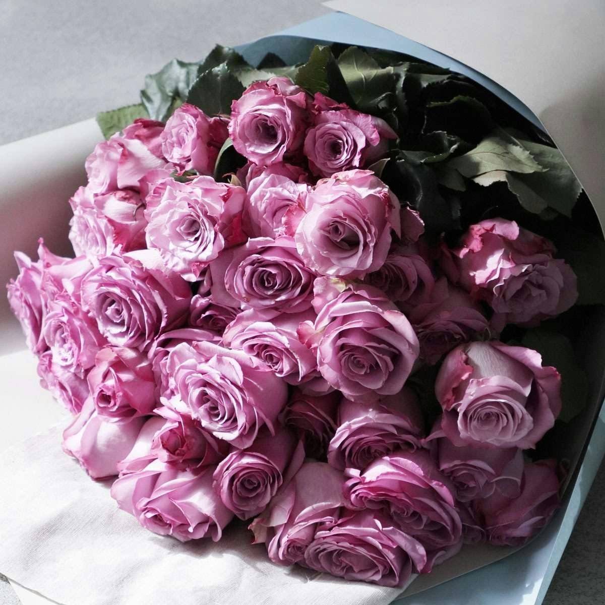 言葉 バラ ピンク の 花 ピンクのバラの花言葉は？色や本数で意味が変わるバラをプレゼントに♡