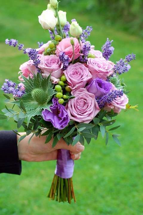 厳選3つ 紫色のバラはワクワクさせる贈り物 ひとはなノート
