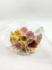 産地直送 ガーベラ ミックス 15本束／静岡 松下園芸からお届け | 花束