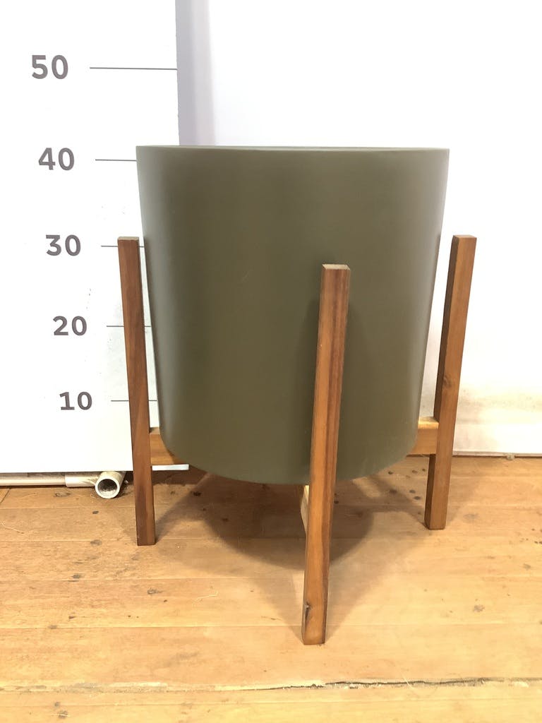 ★KONTONコントン ホルスト シリンダー オリーブ 26cm スタンド付 観葉植物 オリーブの木 8号 ルッカ ホルスト シリンダー オリーブ