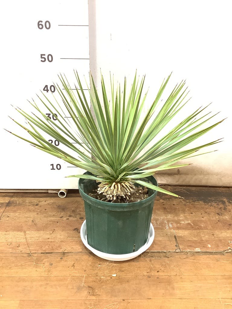 d5e64f31-e775-419e-8cc2-