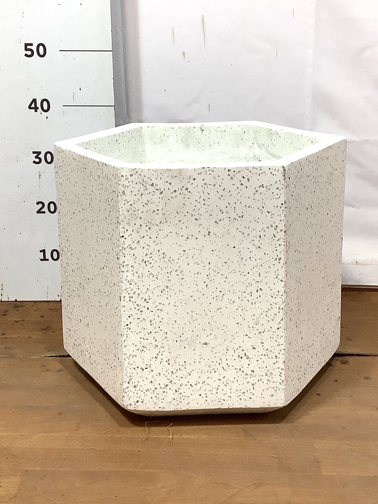 ガブさん専用 ソテツ 約1.1メートル 白色鉢10号 ソテツ 10号サイズ | HITOTOKI by MAKIMO PLANT