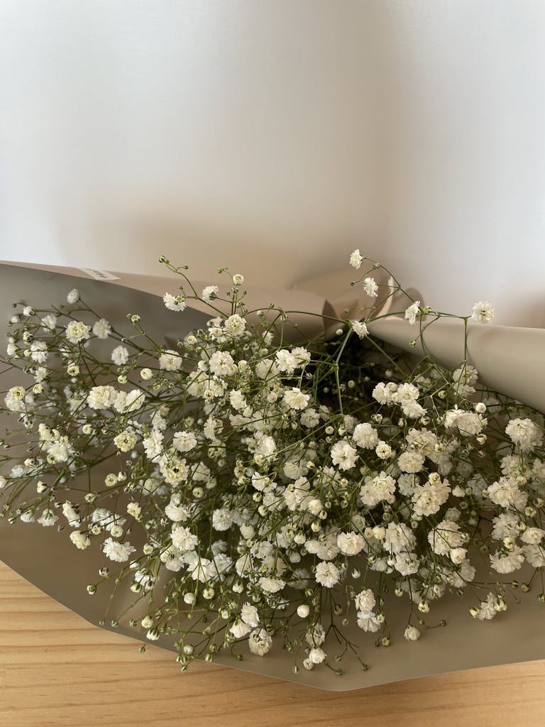 産地直送 かすみ草花束 ホワイト／福島 hinatabaからお届け