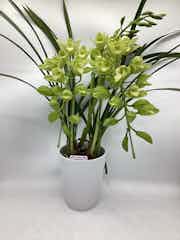 Fiesta Millennium Ⅲ ライムグリーン 花瓶 Fiesta Millennium Ⅲ ライムグリーン 花瓶