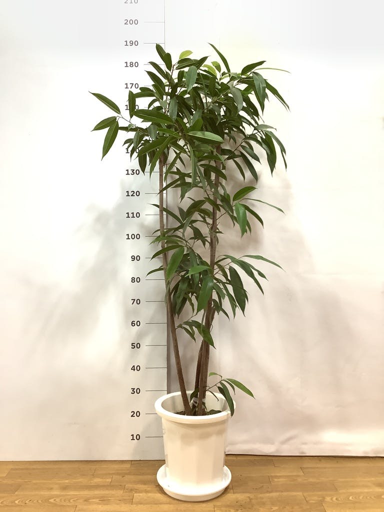 2b49a6c3-5f43-4aa9-a500-