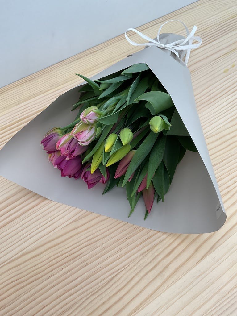 産地直送 チューリップ花束 ハートブレイカー（10本入り）／富山 富山