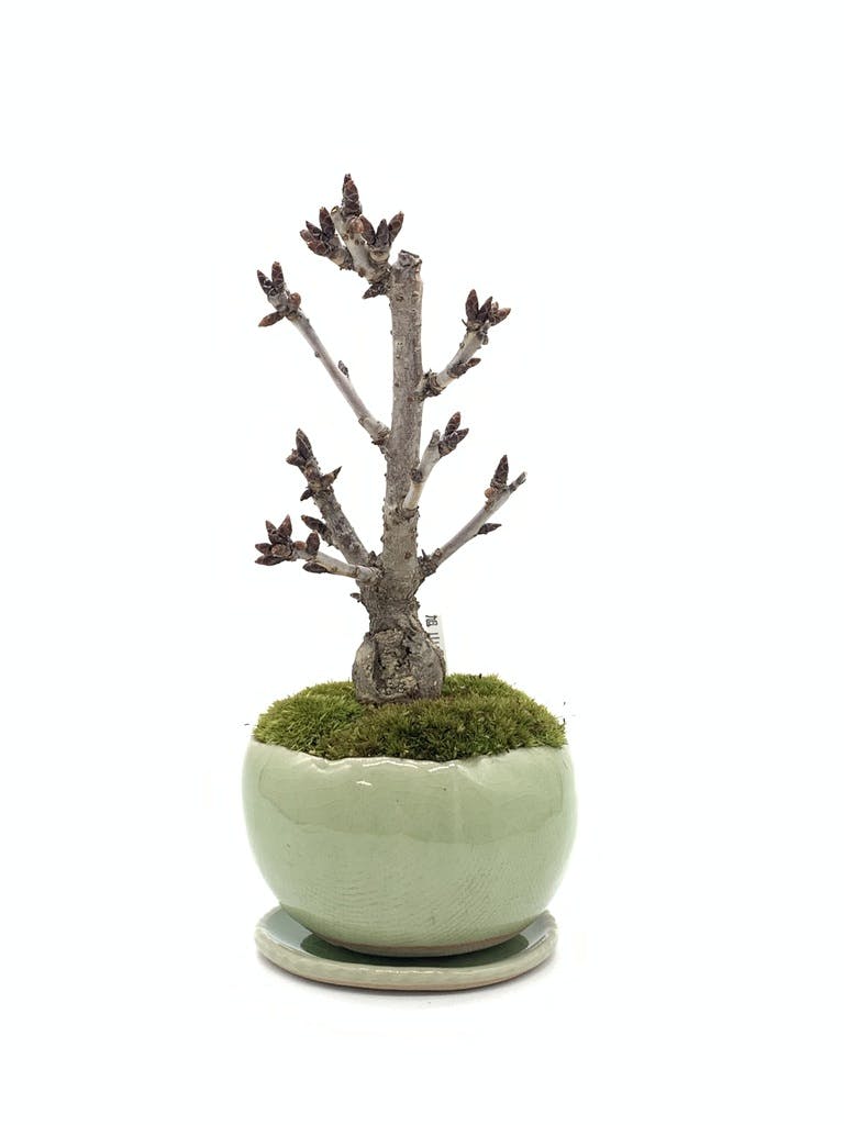 f0430571-7749-4ff9-bf6a-