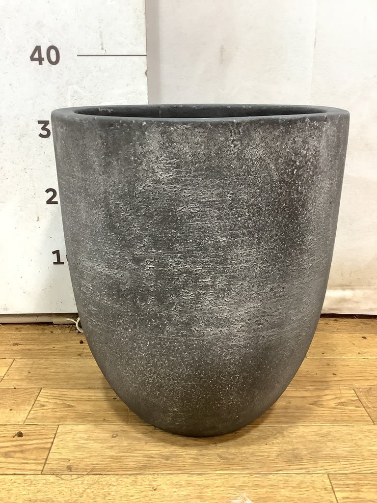 ポポ　パキポン　ヒビ鉢　グラゴイル　計8000円 bizarre旭川 | パキポディウム 入荷情報 －－－令和6年1月28日