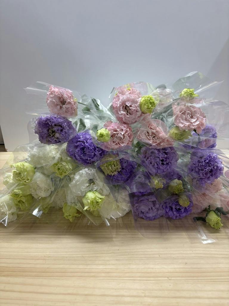 産地直送 トルコキキョウ 1輪 花束 ミックス（30本入り）／佐賀