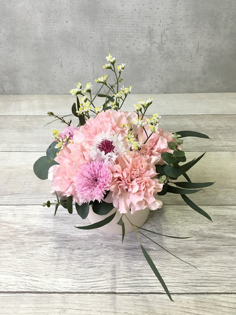 カーネーション アレンジメント ピンク XS カップタイプ