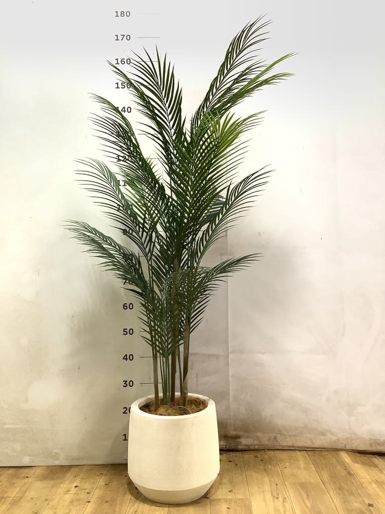 フェイクグリーン 30cm～ | 通販専門店 HitoHana（ひとはな）
