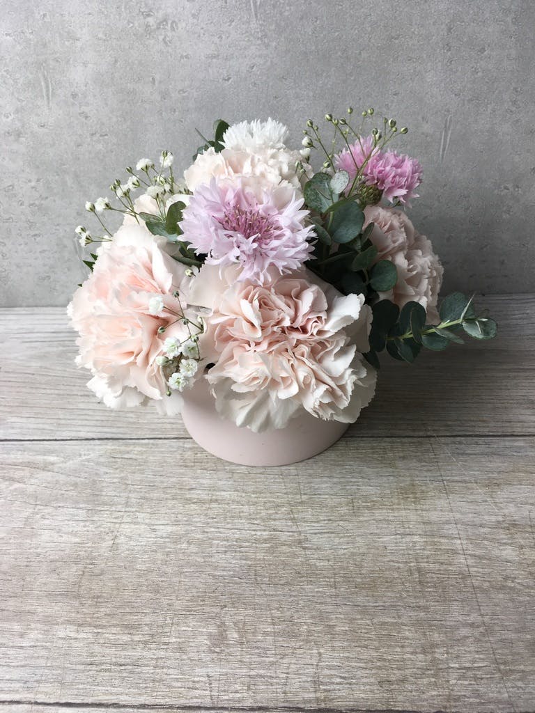 カーネーション アレンジメント ピンク XS カップタイプ