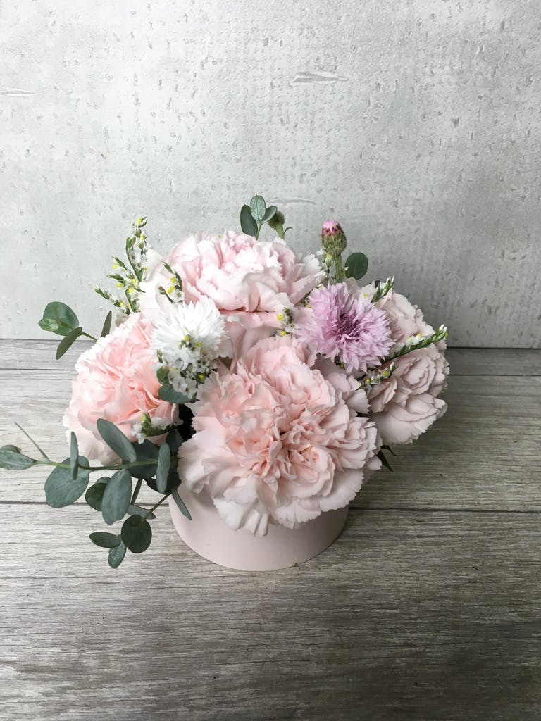 カーネーション アレンジメント ピンク XS カップタイプ