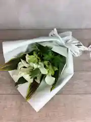 カラーの花束 ブーケ フラワーギフトの通販ならhitohana カラーの花束 ブーケ フラワーギフトの通販ならhitohana