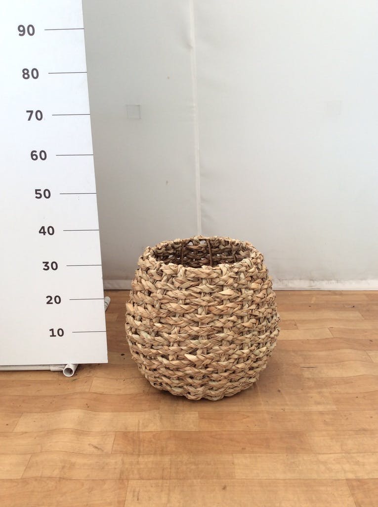 ラッシュバスケット(Lush basket)鉢カバー 鉢カバー LushBasket(ラッシュバスケット) 10号鉢用 #stem B9261 | 鉢