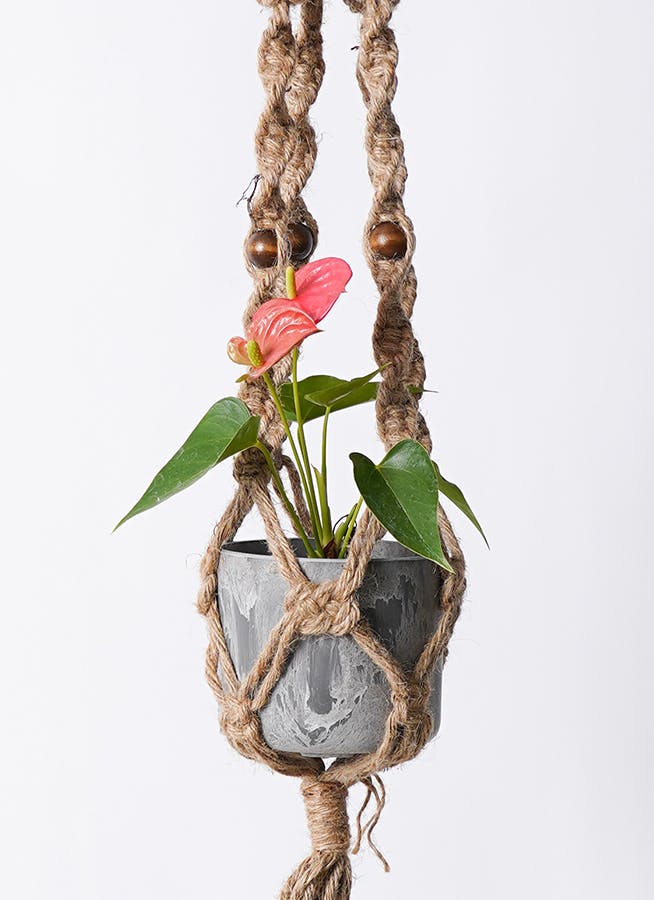 AR 100枚 かぶり無し】レアコイル、カスミのラプラス、ハッサム