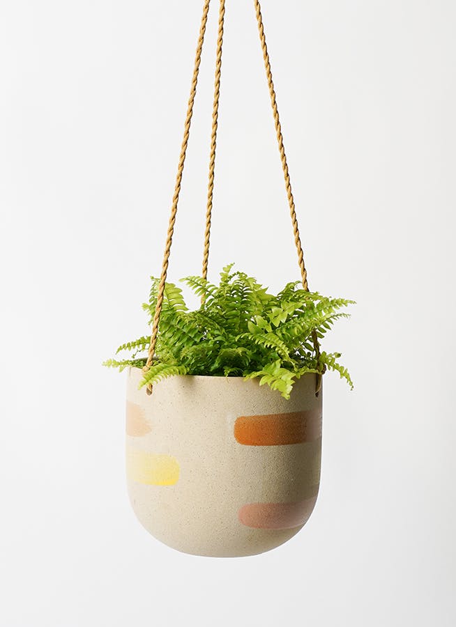 観葉植物 ネフロレピス 3号 カーリン ハンギング 14 G 付き | 観葉植物