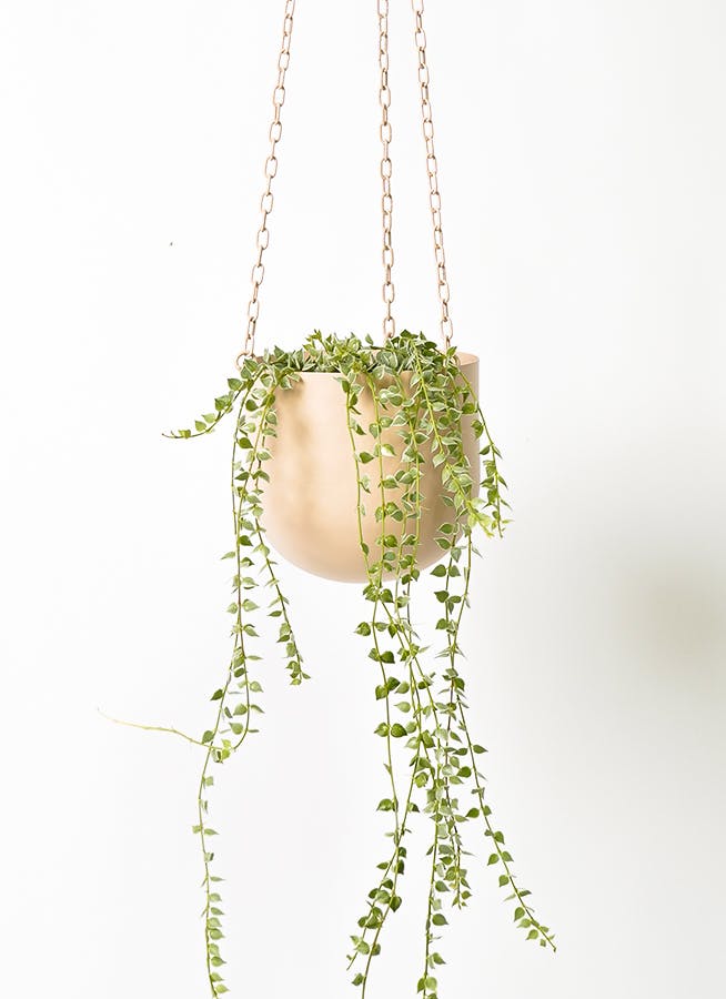 【ご参考】洋室3側　ハンキンググリーン